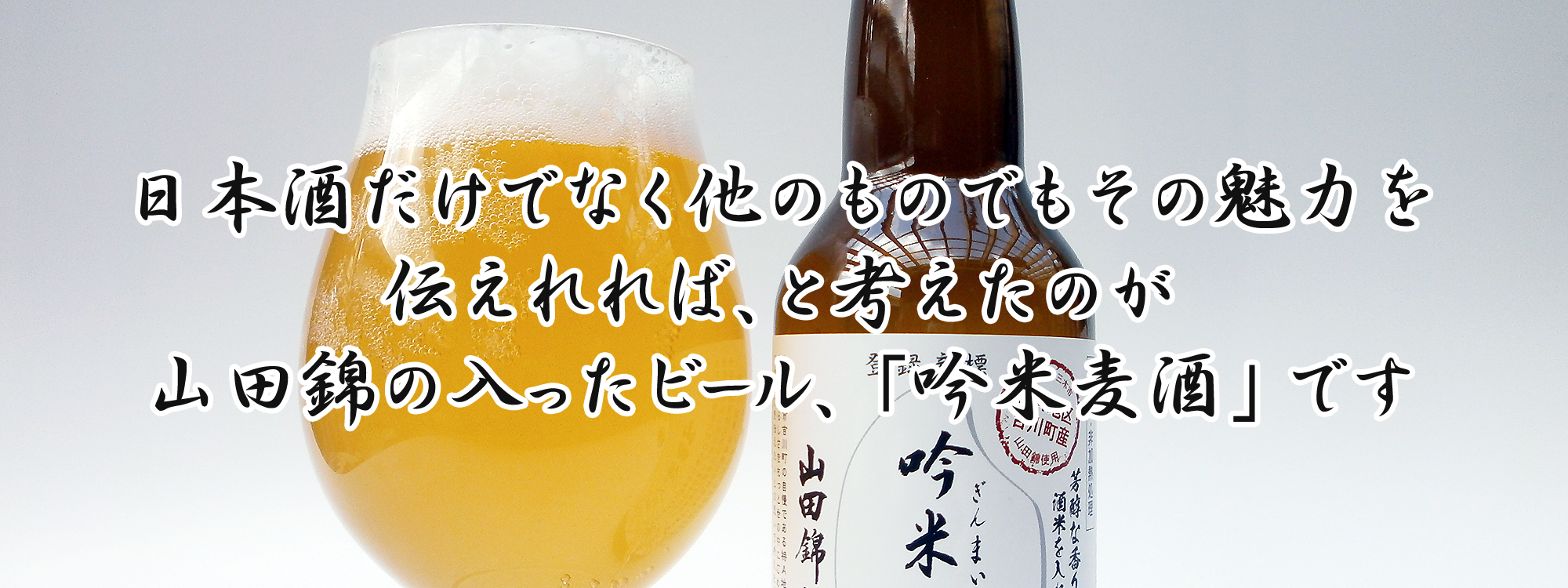 日本酒だけでなく他のものでもその魅力を伝えれれば、と考えたのが山田錦の入ったビール、「吟米麦酒」です